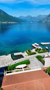 Apartments Radonicic