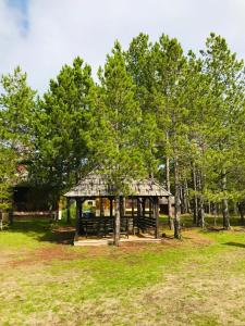 vila Family apartman 2