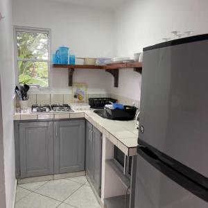 HUMMINGBIRD CABARETE