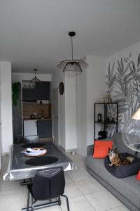 Appartements Studio neuf a louer a Dinard 3 nuits minimum : photos des chambres