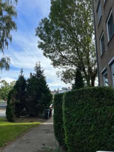 Neu möbliert Apartment 3 Zimmer 70qm mit Küche, Balkon, WC, Salzgitter City