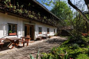 House, Garden and a Green Cat