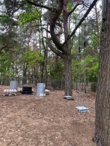 Dream Forest Cabin -dom w lesie pod Warszawą