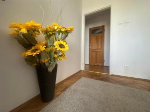 Apartamenty Golden Times Szopy 3