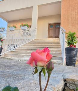 CasaOltreMare Puglia Mare, Relax e Tradizione