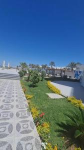 Scandic سكاندك