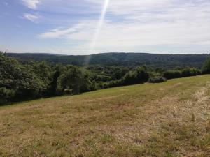 À 2 pas de la forêt de la Serre