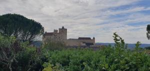 Maisons de vacances Charmante maison en pierre en Perigord Le Cantou : photos des chambres