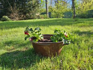 Domek Jelonek nad jeziorem i rzeką