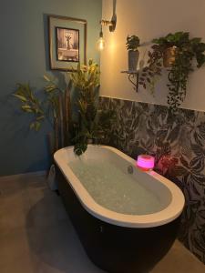 Blue Zen - Relaxing loft a Porta Nuova