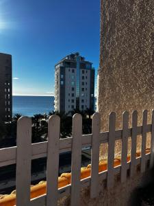 Marco Polo by Alina365