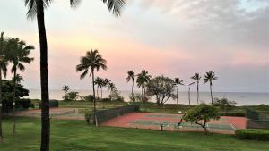 1bd Condo FREE AC great location - steps to ocean!