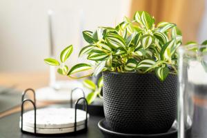 Lux Condo, Bay View, Mall Access