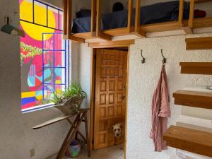 Sustainable Home - Casa Vecindad Murals
