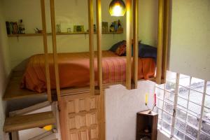 Sustainable Home - Casa Vecindad Murals