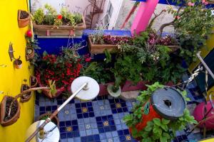 Sustainable Home - Casa Vecindad Murals