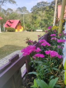 Cabañas San miguel Cachipay - Colombia