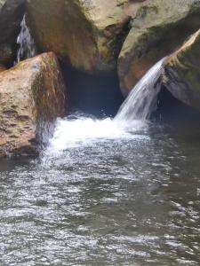 Cabañas San miguel Cachipay - Colombia