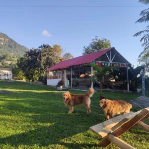 Cabañas San miguel Cachipay - Colombia