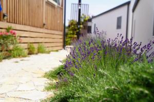 Hollers Holiday Homes Haus Mary