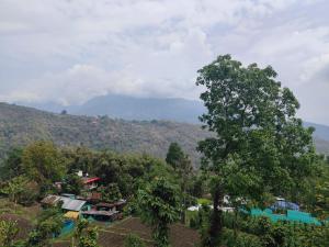 Bara Mangwa Hill View Homestay Darjeeling