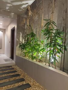 Transit Designer Home in Negombo