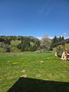 Vila Muntelui Colibita