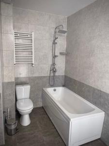 Flat in Bakuriani forest