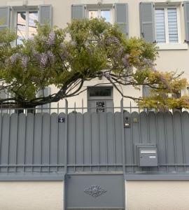 Appartements Joli T2 jardin parking proche gare centre ville : photos des chambres