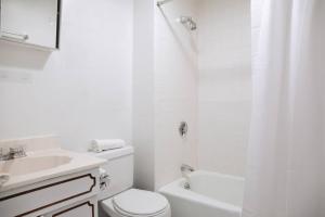 Cozy 1BDR Close to Fenway