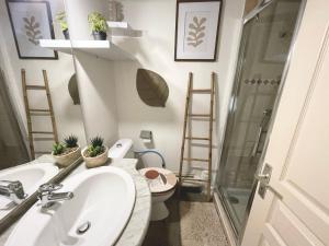 AppartZen proche Cité de Carcassonne et lac de la Cavayère