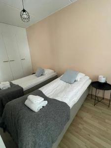 Convenient Apartment for 3