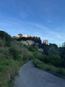 Appartement Jardin 10mn centre