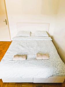 Apartments close to Lake in the Center of Zurich HWA - Self Checkin