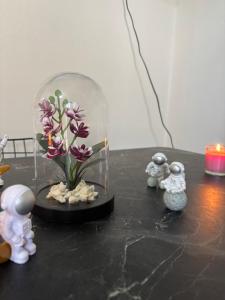 E2 Vibe Home