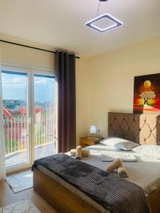 Shkodra Downtown Gem 2