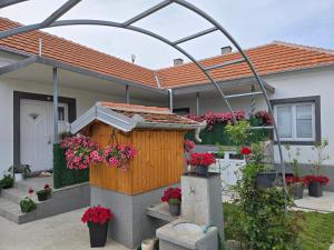 Villa Ruža