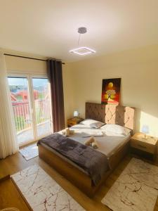 Shkodra Downtown Gem 2