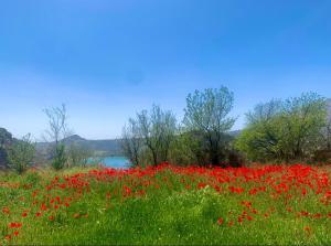 Casa Rural Miravella
