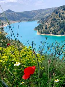 Casa Rural Miravella