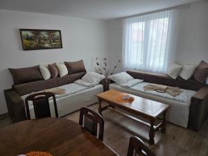 Apartman Villa Ruža