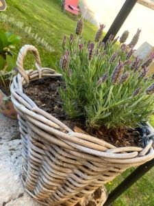 B&B / Chambres d'hotes CHEZ LOU : photos des chambres