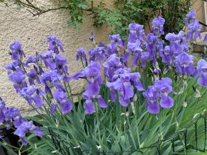 B&B / Chambres d'hotes CHEZ LOU : photos des chambres