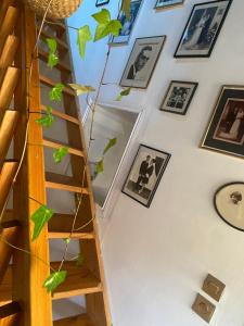 B&B / Chambres d'hotes CHEZ LOU : photos des chambres