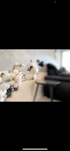 Porta Mare - Dziwnówek - Ferienappartment an der polnischen Ostsee