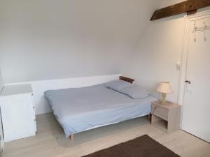 Appartements T2 lumineux refait a neuf, au calme, jardin partage : photos des chambres