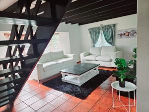 Big house with a pool