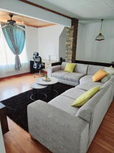 Big house with a pool