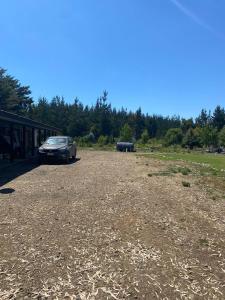 Von Menzel Bed and Beer