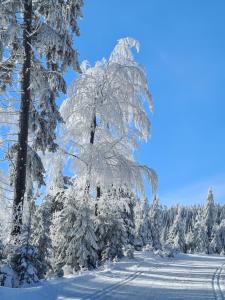 Apartmán Na Ramzové